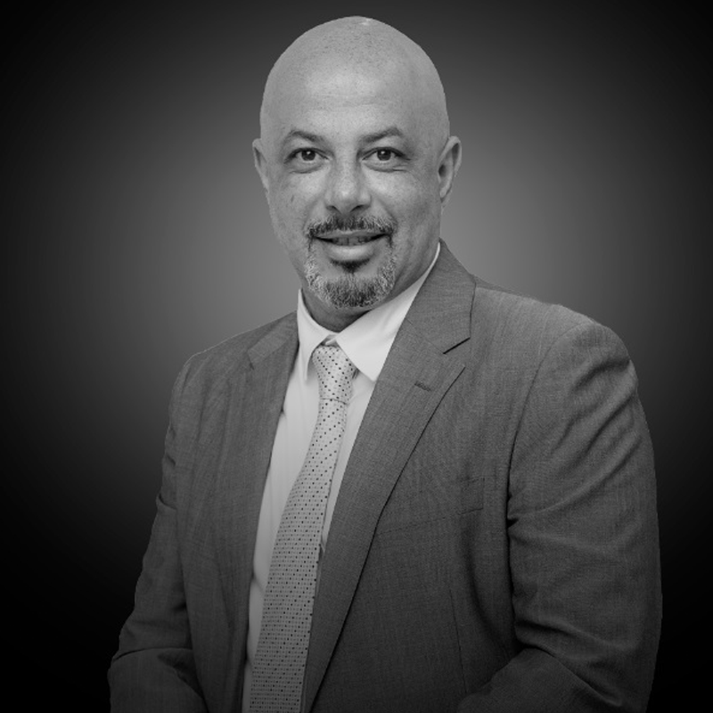 Wael Abdel Salam 