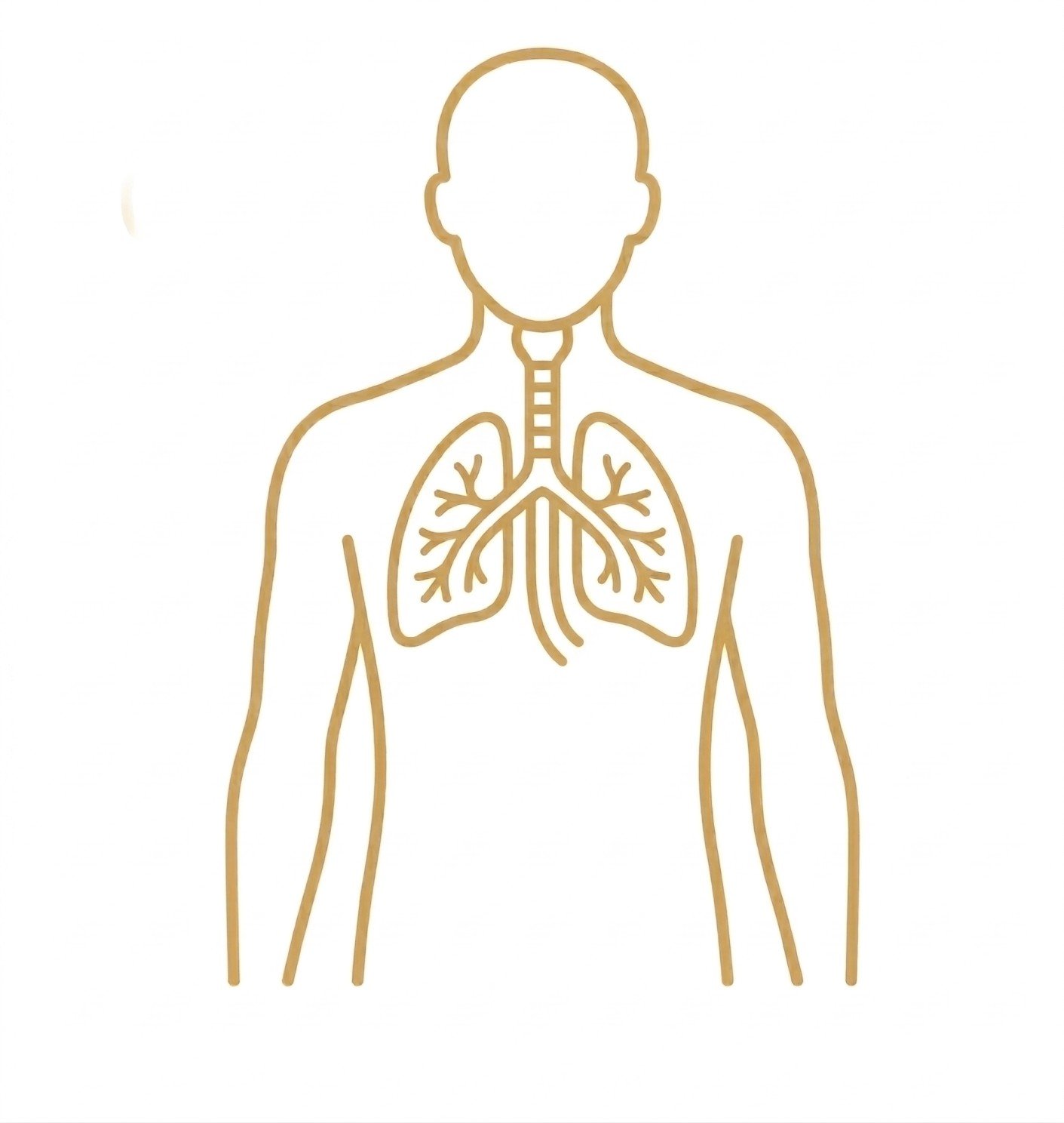 Gemini_Generated_Image_5bz1yp5bz1yp5bz1