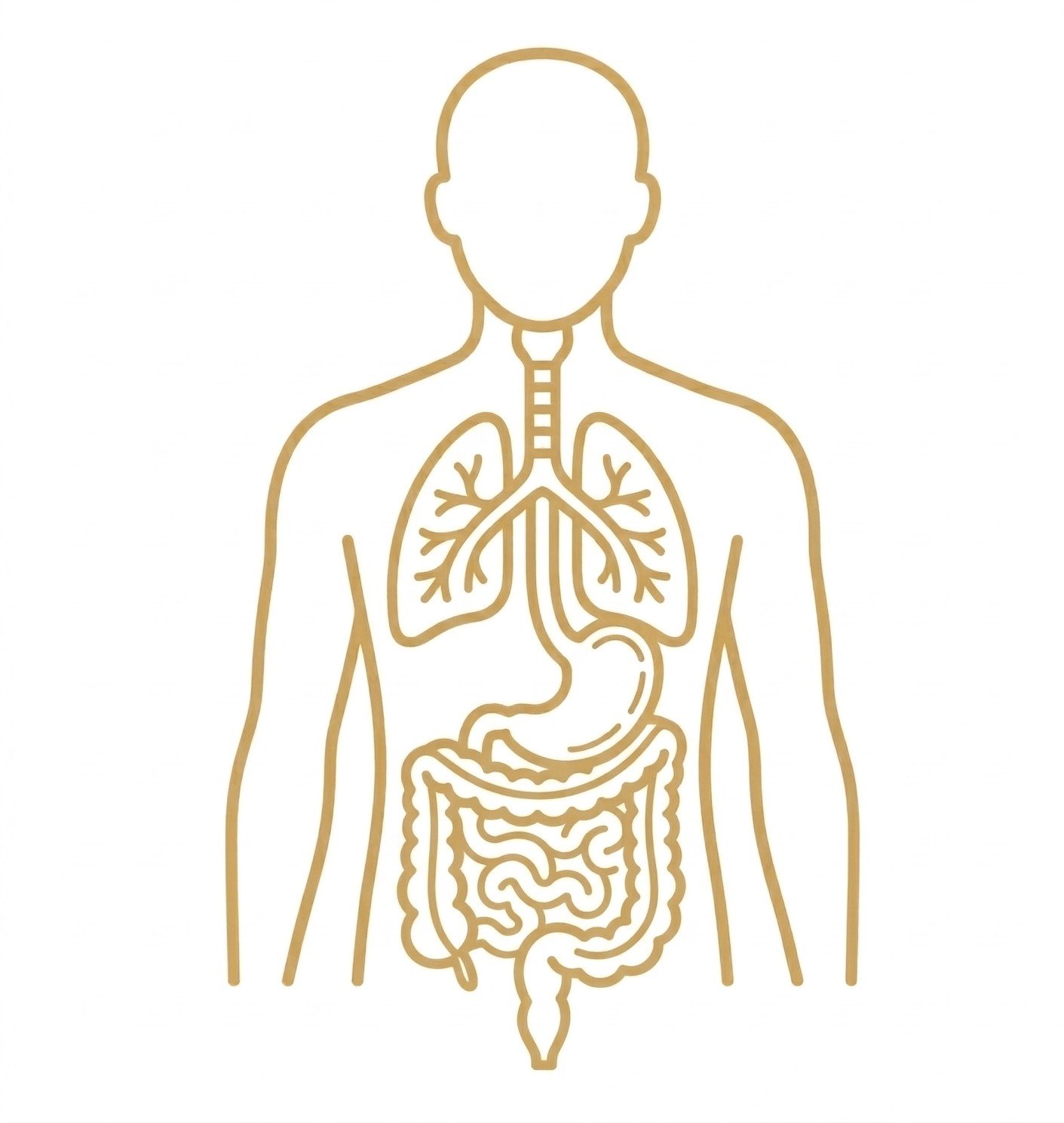 Gemini_Generated_Image_7b3mgv7b3mgv7b3m