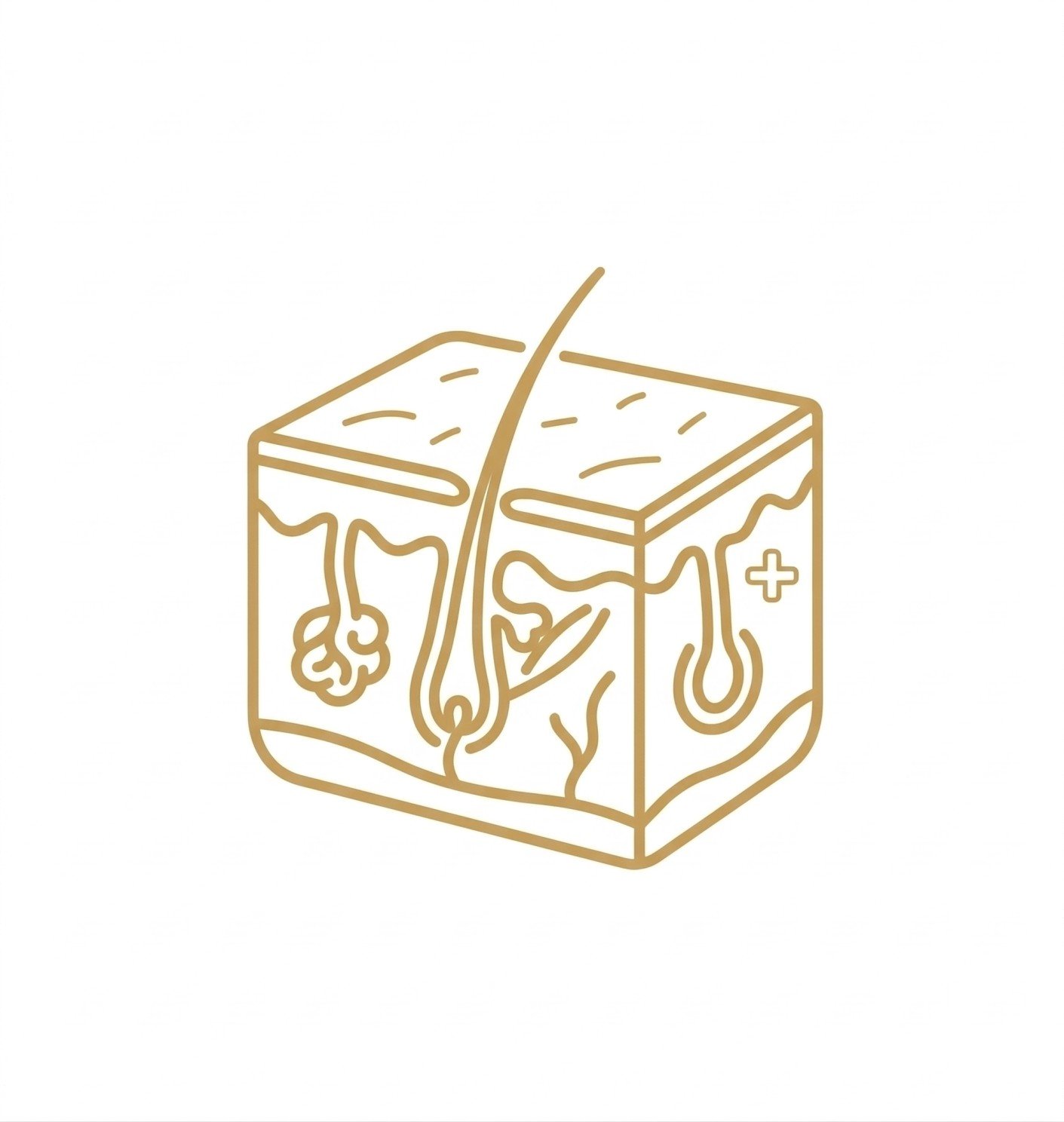 Gemini_Generated_Image_ehmkjfehmkjfehmk